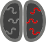 Mental-Health Mental Health Drugs Wellbutrin